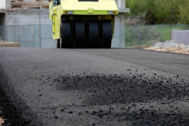 Best Custom Driveway Pavers  in Tton, IL